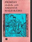 Příběhy chrabrého rytíře Amadise Waleského - náhled