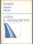 Cesta k nevolnictví - náhled