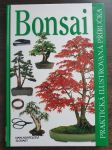 Bonsai - praktická ilustrovaná příručka - náhled