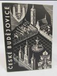 České Budějovice - náhled