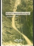 Kyseľ v Slovenskom raji - náhled