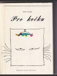 Pro kočku - náhled