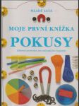 Moje první knížka pokusy - náhled