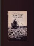 Geometrie v přírodě - náhled