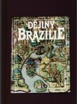 Dějiny Brazílie - náhled