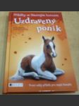 Uzdravený poník - náhled