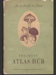 Vreckový atlas húb (malý formát) - náhled