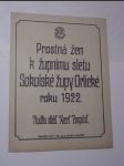 Prostná žen k župnímu sletu sokolské župy orlické roku 1922 - náhled