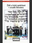 Židé a česká společnost v zrcadle literatury od středověku k počátkům emancipace - náhled