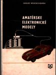 Amatérske elektronické modely - náhled