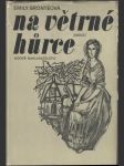 Na větrné hůrce  - náhled
