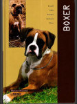 Boxer Koupě - Péče - Krmení - Výchova - Chov - náhled