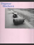 Dagmar Hochová - náhled