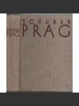 Prag. Kultur / Kunst / Geschichte [historie Prahy] - náhled