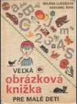 Veľká obrázková knižka pre malé deti - náhled