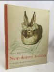 Nespokojený králíček - náhled