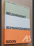 Vzpoury II Bělohradský Schwarzenberg Sidon - náhled