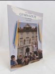 Brandýské Gymnázium J. S. Machara 1913-2013 - náhled
