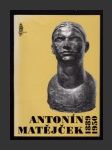 Antonín Matějček 1889-1950 - náhled