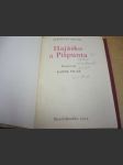Hajásko a Pišpunta. - náhled