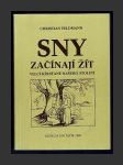 Sny začínají žít: Velcí křesťané našeho století - náhled