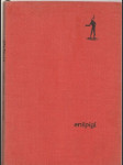 Enšpígl - náhled