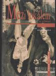 Mezi lokálem a silnicí - náhled
