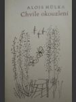 Chvíle okouzlení - hůlka alois - náhled